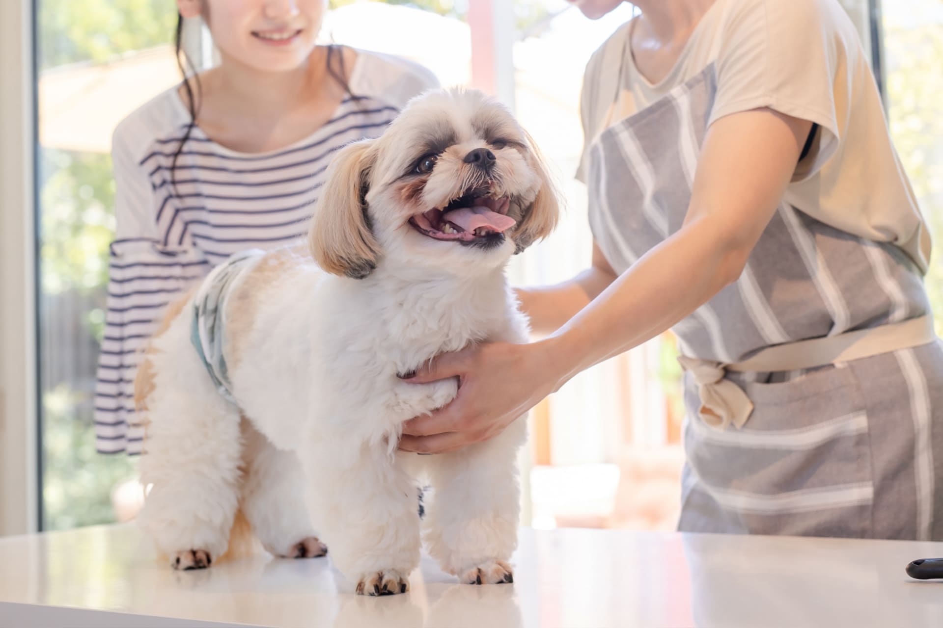 わんちゃんの負担を減らす工夫と配慮を大切にしながら施術を行います